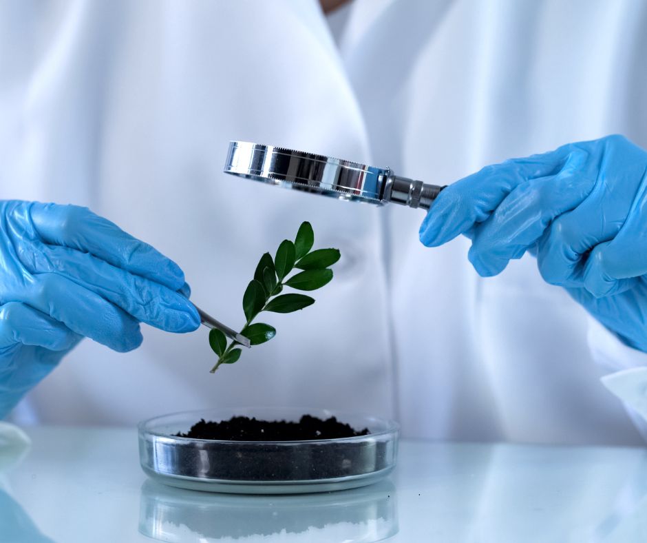 analisi terreni prato